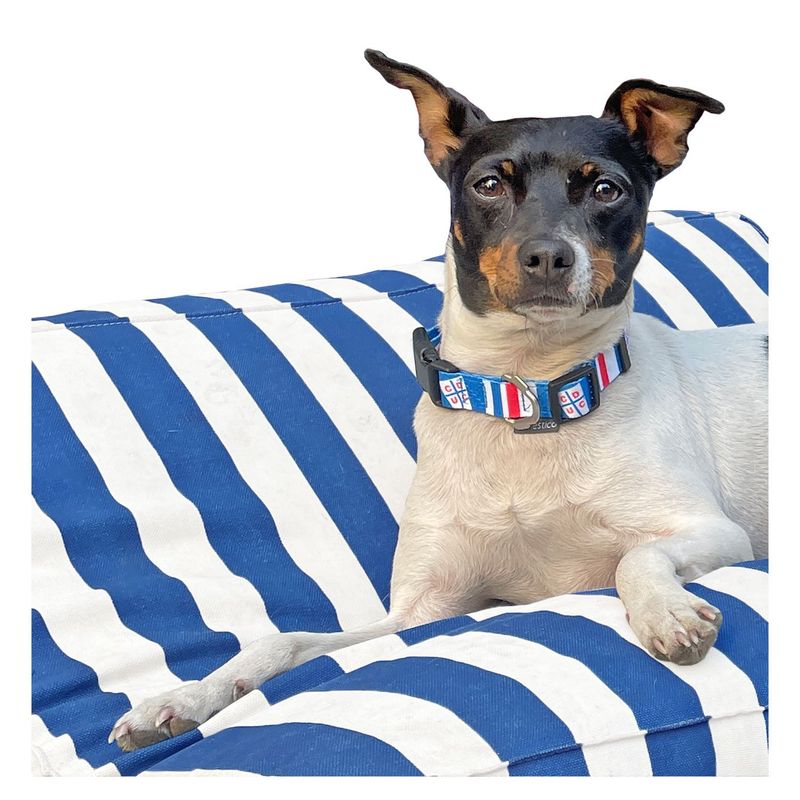 DOMESTICO - Pack Collar Perro + Llavero Universidad Católica - Talla M