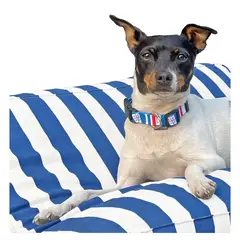 DOMESTICO - Pack Collar Perro + Llavero Universidad Católica - Talla M