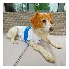DOMESTICO - Camiseta perro Universidad Católica - Talla S