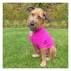 DOMESTICO - Chaleco Perro Fucsia - Talla L