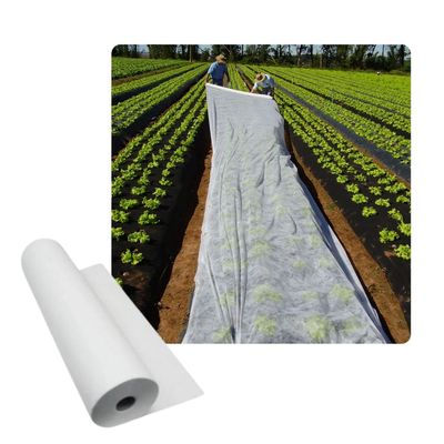 Imagen 2 del producto Malla Antihelada 2.07 ancho x 30 Mt largo (17g) Manto Térmico