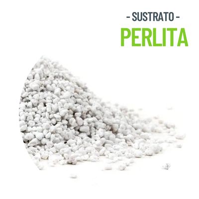 Imagen 2 del producto SUSTRATO PERLITA A6 5 LTS