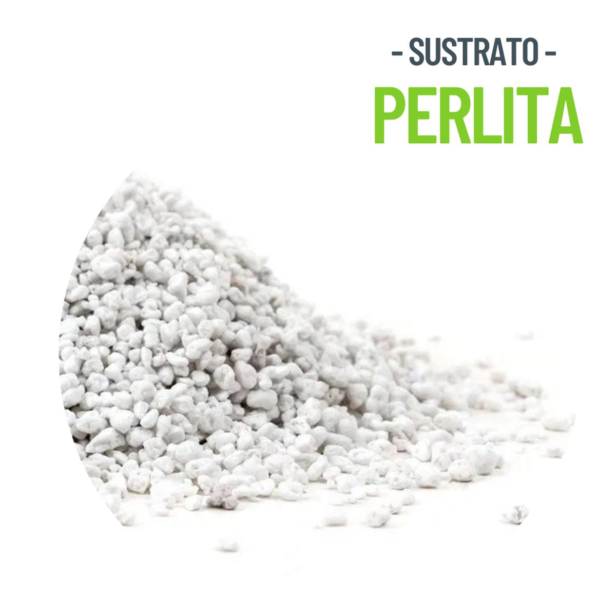 PERLA - SUSTRATO PERLITA A6 100 LTS