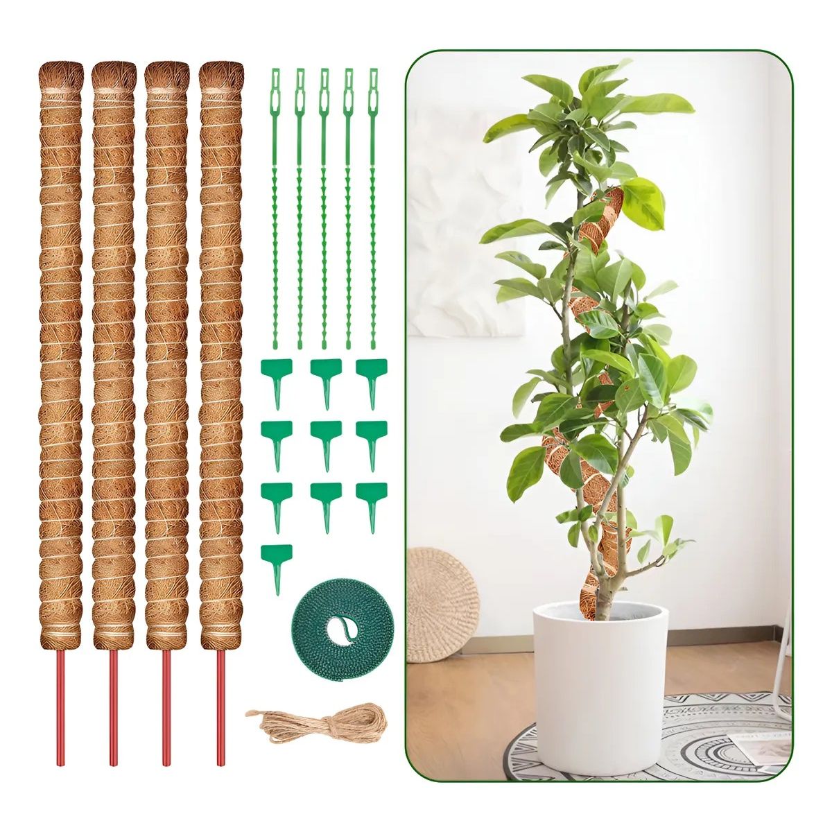 YAYKO - 21 Kits Tutor De Musgo Soporte Para Plantas 100cm/fibra Coco