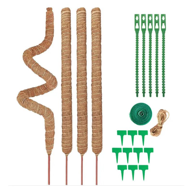 YAYKO - 21 Kits Tutor De Musgo Soporte Para Plantas 100cm/fibra Coco