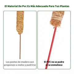 YAYKO - 21 Kits Tutor De Musgo Soporte Para Plantas 100cm/fibra Coco