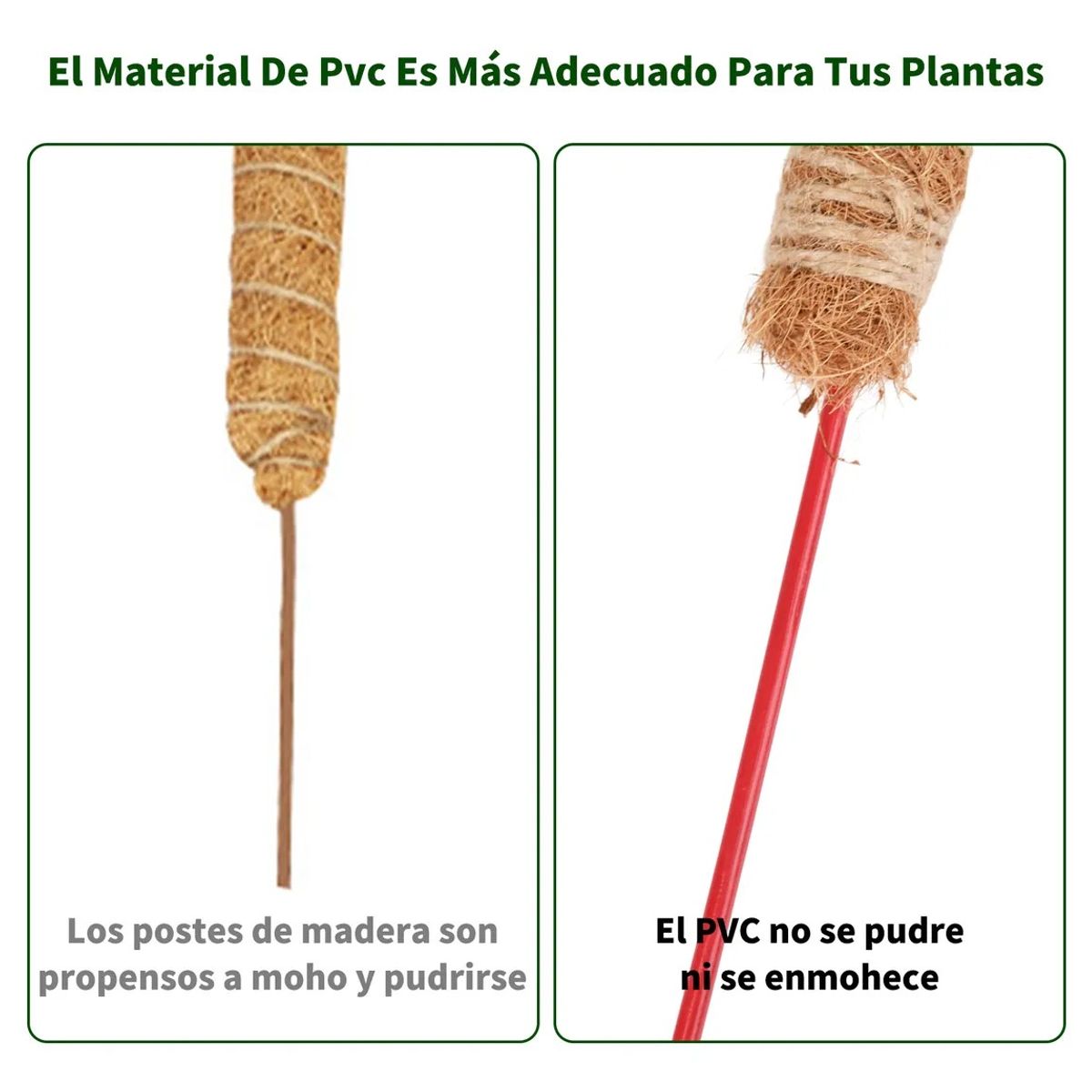 YAYKO - 21 Kits Tutor De Musgo Soporte Para Plantas 100cm/fibra Coco