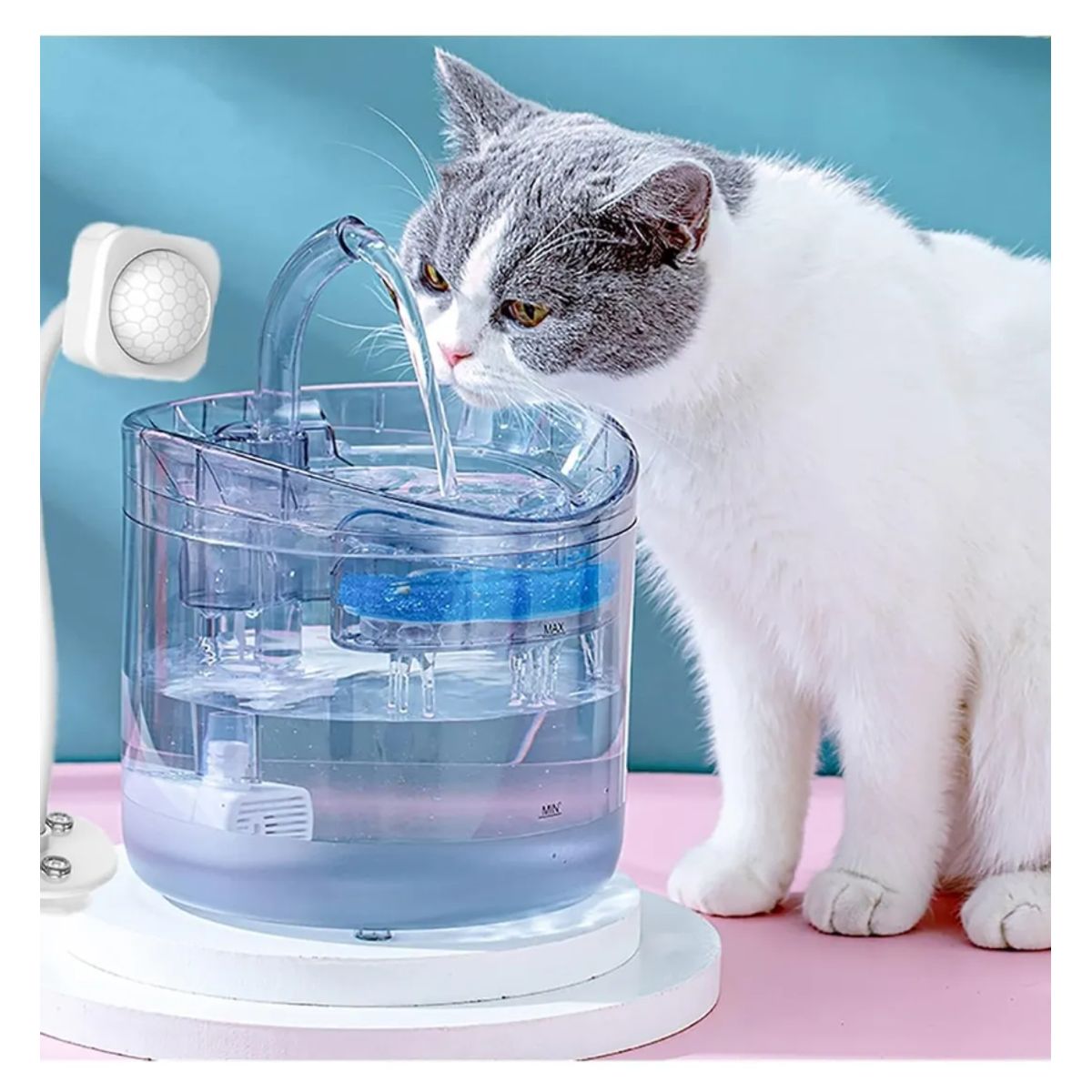 GENERICO - Bebedero Automático para Mascotas  Dispensador de Agua para Gatos y Perros