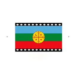 GENERICO - Bandera Mapuche 60x90cm Fiestas Patrias