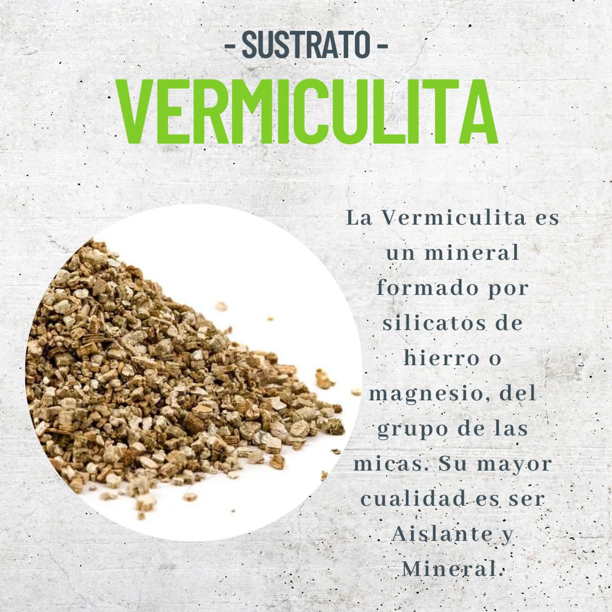 SUSTRATO VERMICULITA MEDIANA 100 LTS, marca 1880 - Foto Principal