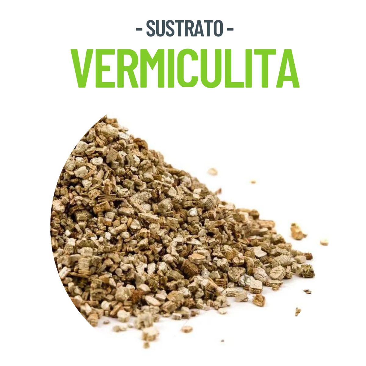 SUSTRATO VERMICULITA MEDIANA 100 LTS, marca 1880 - Foto 2