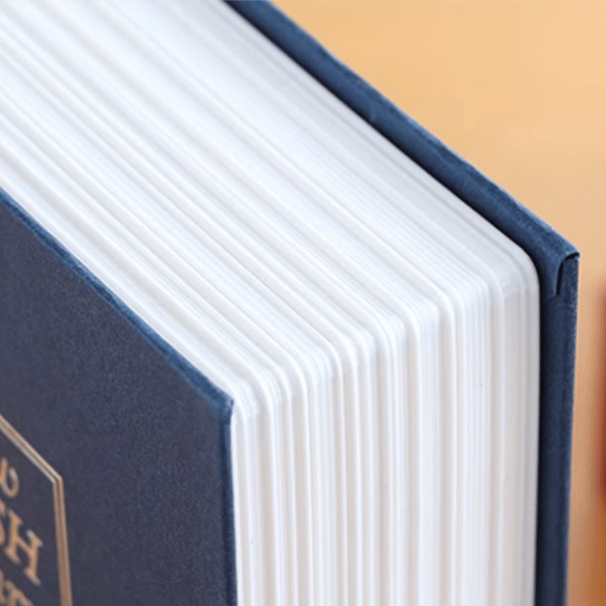 HOMESTAR - Alacacin Caja Billete Seguridad de Libro Diccionario