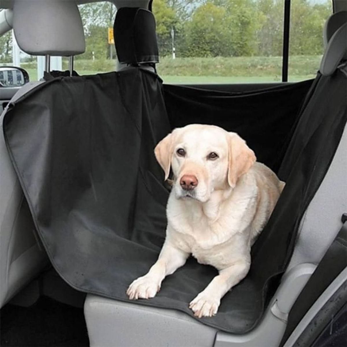 GENERICO - Cobertor Asiento De Auto Para Mascotas- Forro Protector