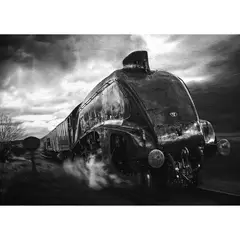 ID1SG IMPRESION DIGITAL1 - Cuadro decorativo tren "Vapor Veloz" 50 x 70