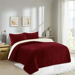 GENERICO - COBERTOR PLUSH DELGADO UNICOLOR BURDEO TEXTURIZADOS 1.5 PLAZA GS