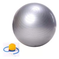 Pelota Balón Gris Yoga 75 cm Pilates con Inflador