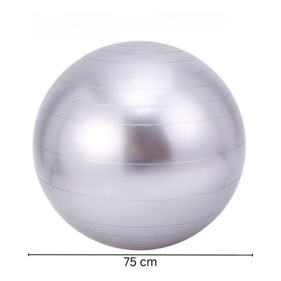 Imagen 2 del producto Pelota Balón Gris Yoga 75 cm Pilates con Inflador