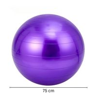Pelota Morado Balón Pilates YOGA 75 cm con Inflador