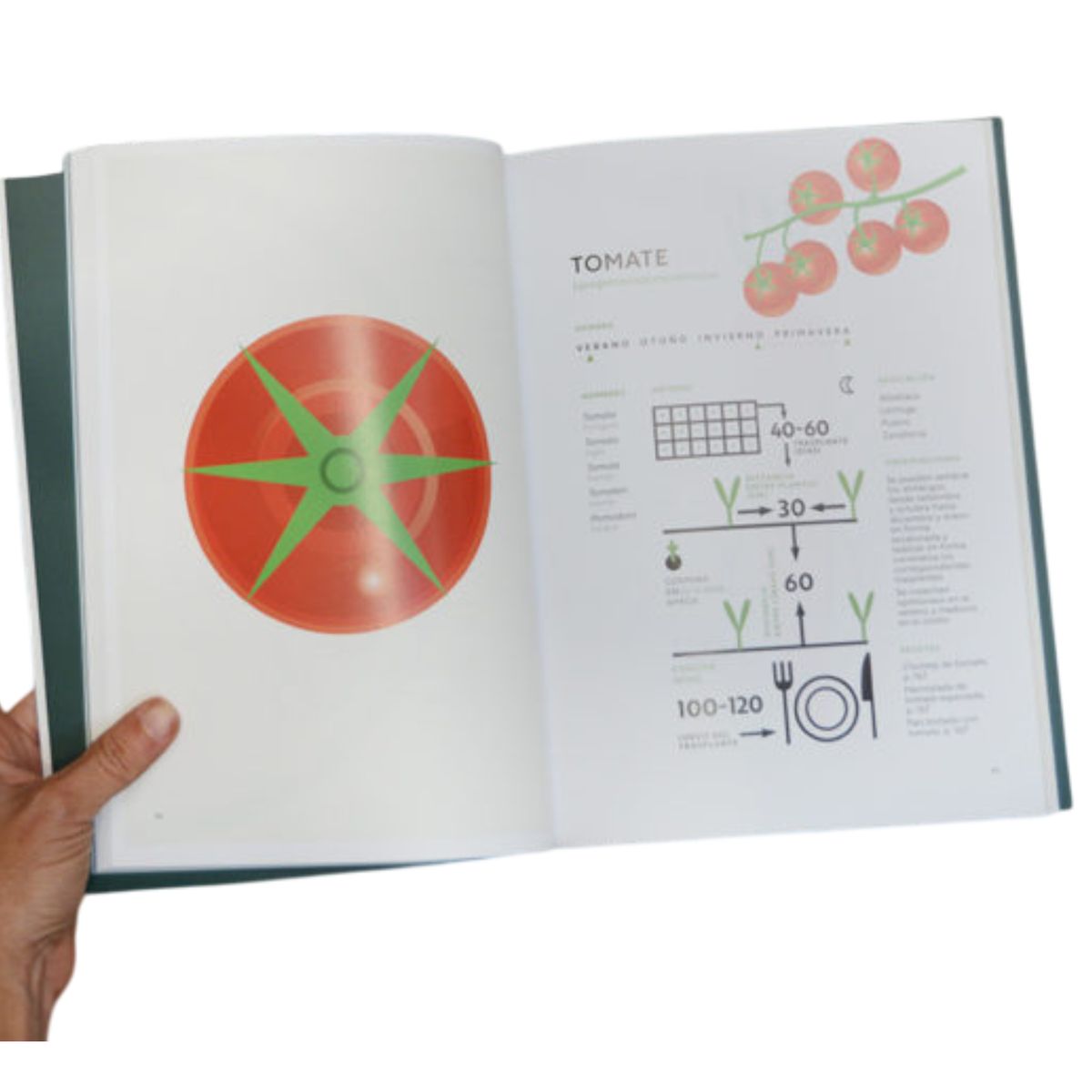 EL ATENEO - Huerta: Calendario Ilustrado