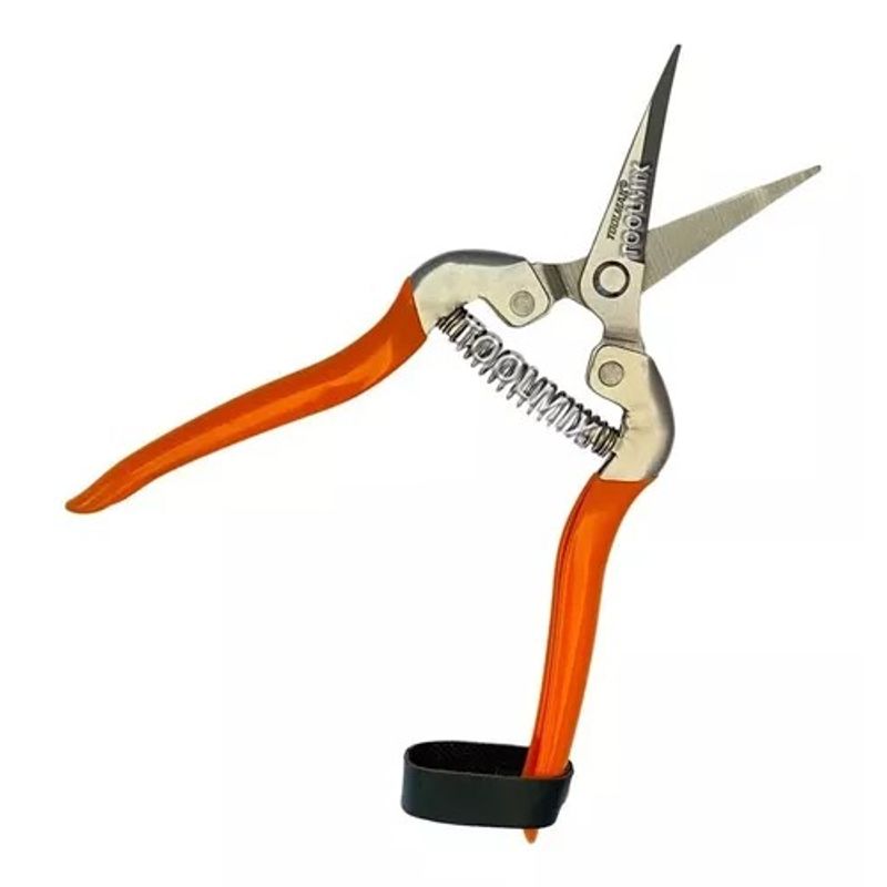 GENERICO - Tijera Recolectora Para Podar Frutas Uva Toolmak 7puLG/180mm 262501