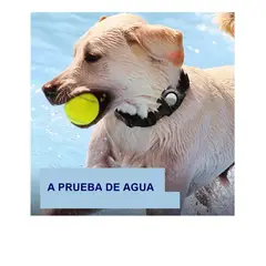 GENERICO - Funda impermeable para AIRTAG para perro o gato AZUL OSCURO