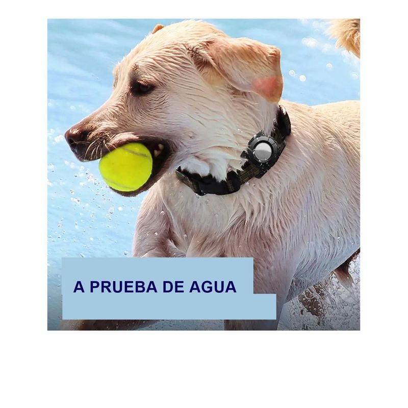 GENERICO - Funda impermeable para AIRTAG para perro o gato NEGRO