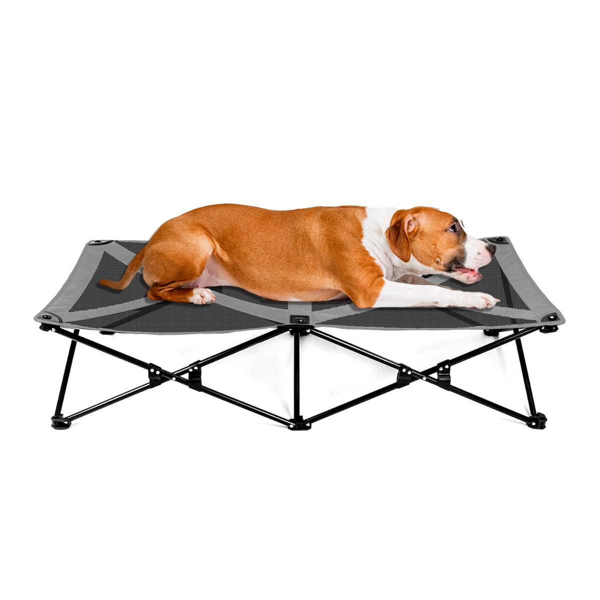 GLOBAL LATIN GROUP - Cama Trampolín Elevada para tu Perro con Malla Transpirable