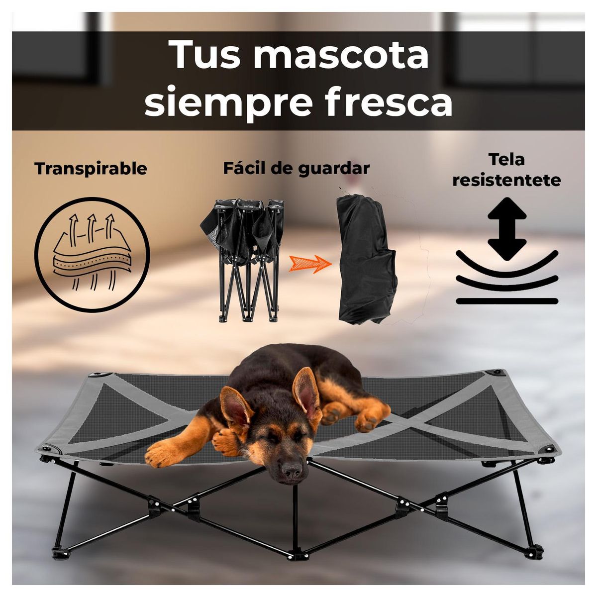 GLOBAL LATIN GROUP - Cama Trampolín Elevada para tu Perro con Malla Transpirable