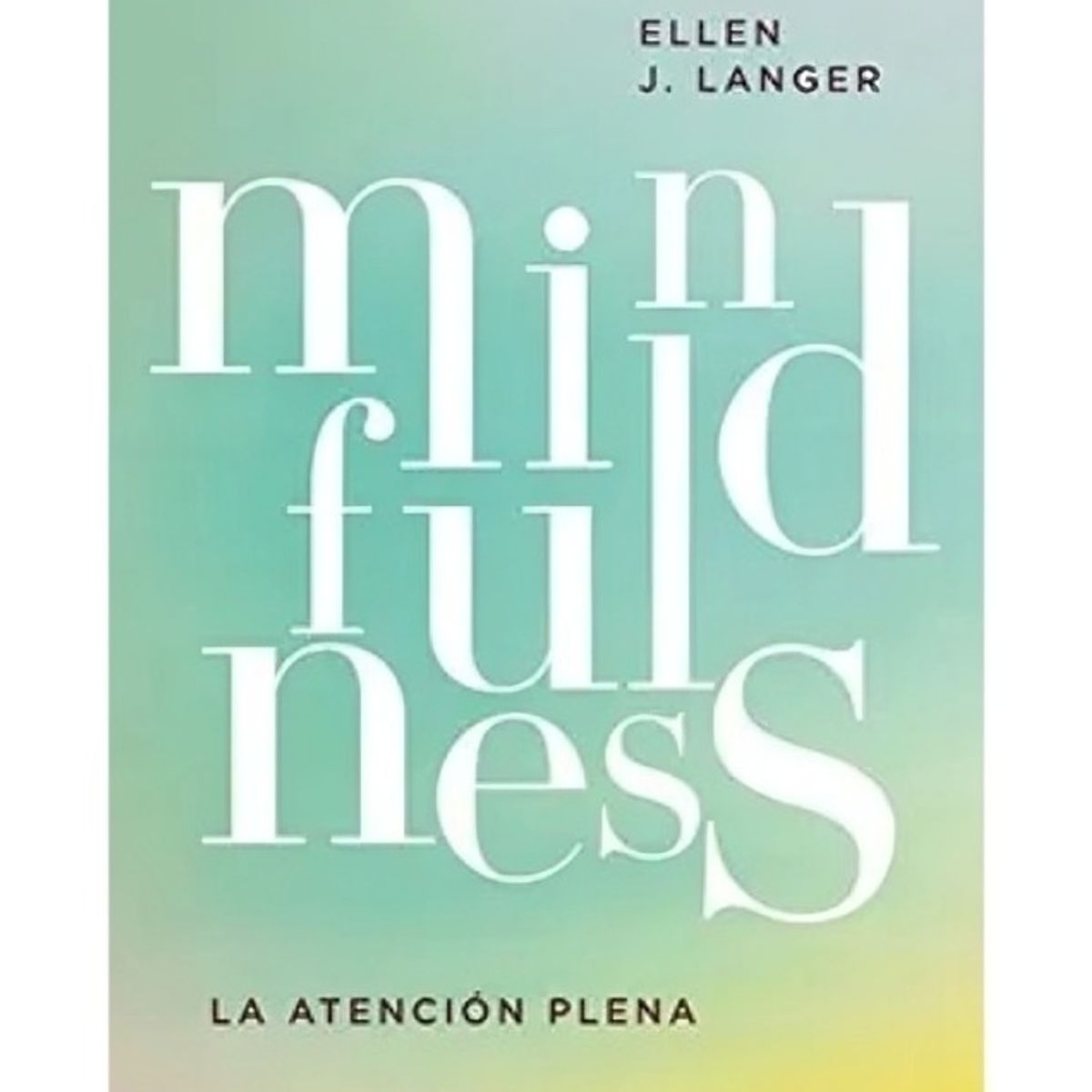 TOP10BOOKS - LIBRO Mindfulness - Mindfulness