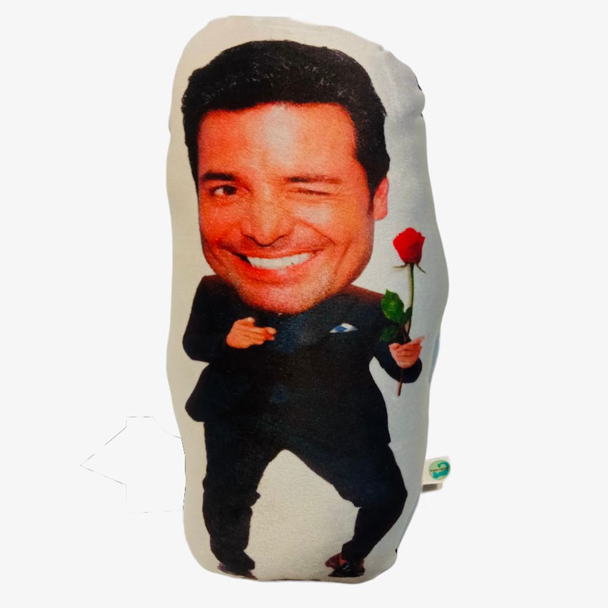 DULCE ALACRAN - Cojín Chayanne Coqueto Dulce Alacrán 33 x 20 cm