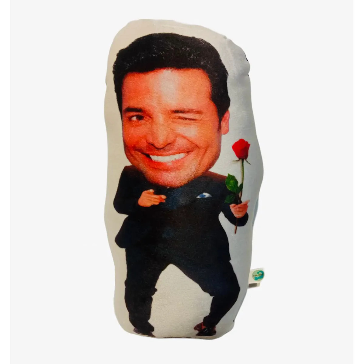 DULCE ALACRAN - Cojín Chayanne Coqueto Dulce Alacrán 33 x 20 cm