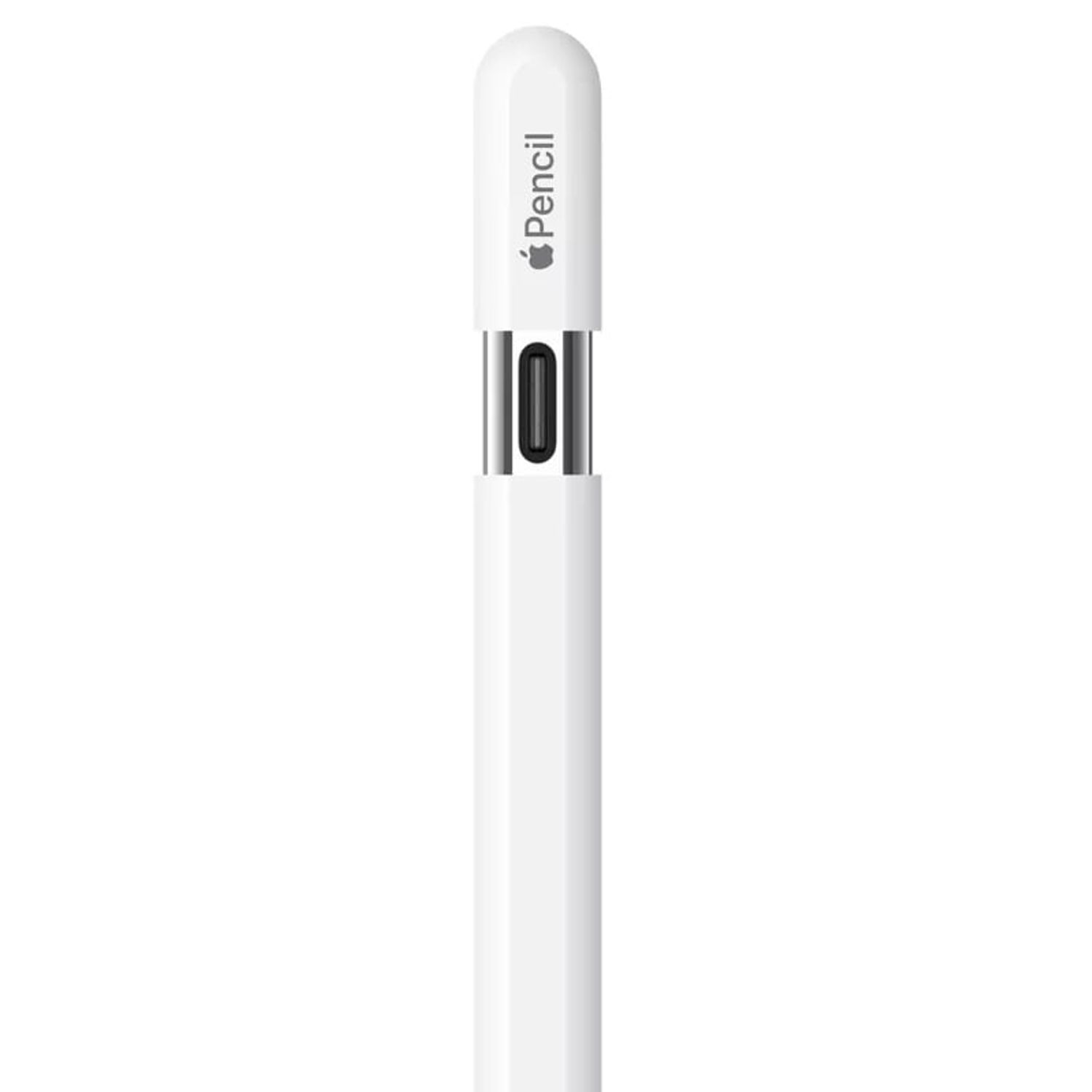 APPLE Apple Pencil USB-C. | Falabella Chile