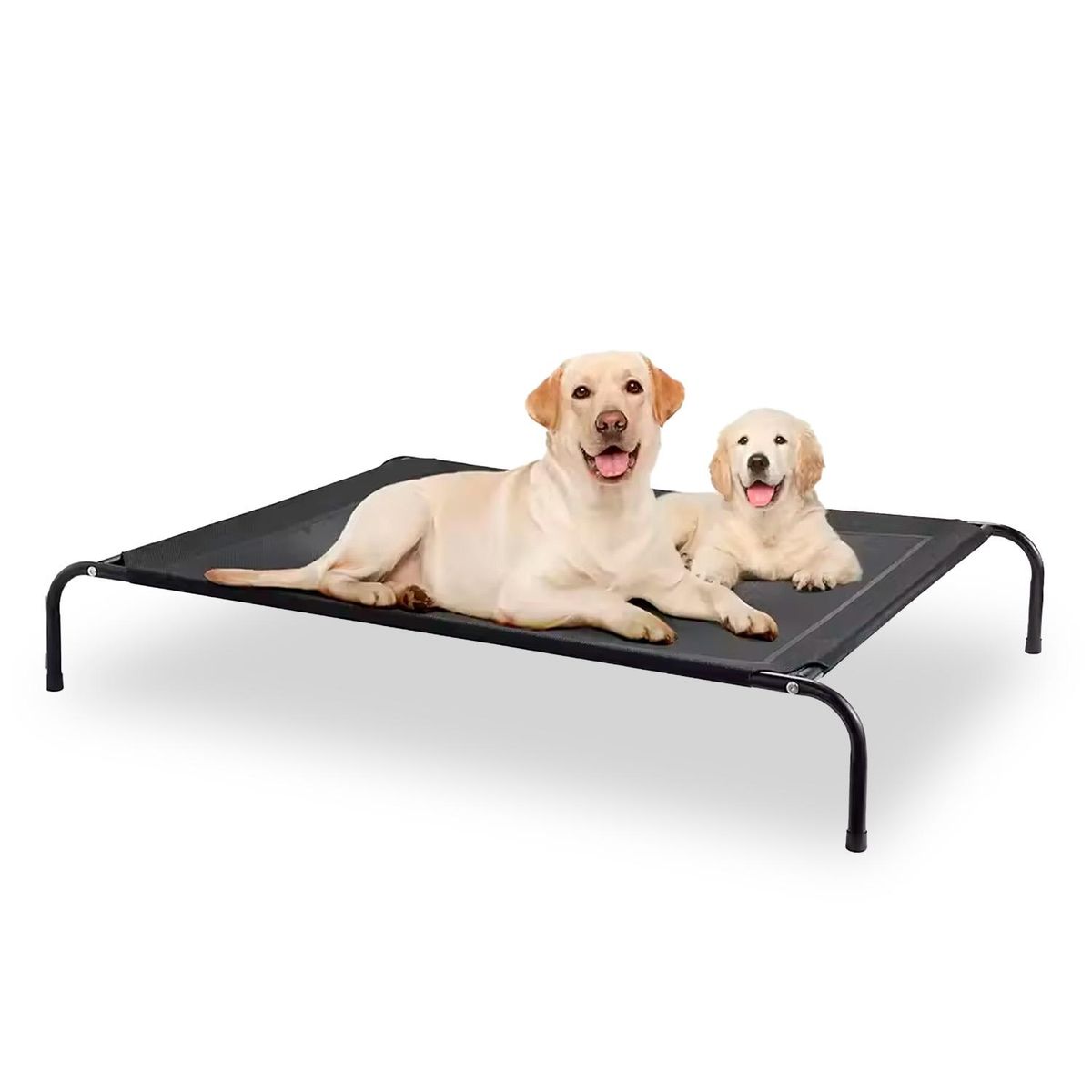 GLOBAL LATIN GROUP - Cama Elevada para tu Perro con Malla Transpirable 122*72*21cm