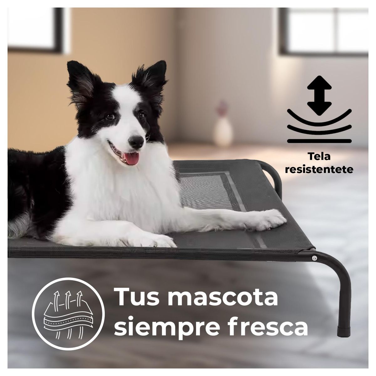 GLOBAL LATIN GROUP - Cama Elevada para tu Perro con Malla Transpirable 122*72*21cm