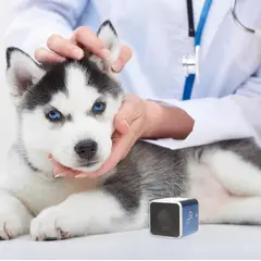 PET ACOUSTICS - Pet tunes canino el parlante que calma a tu perro