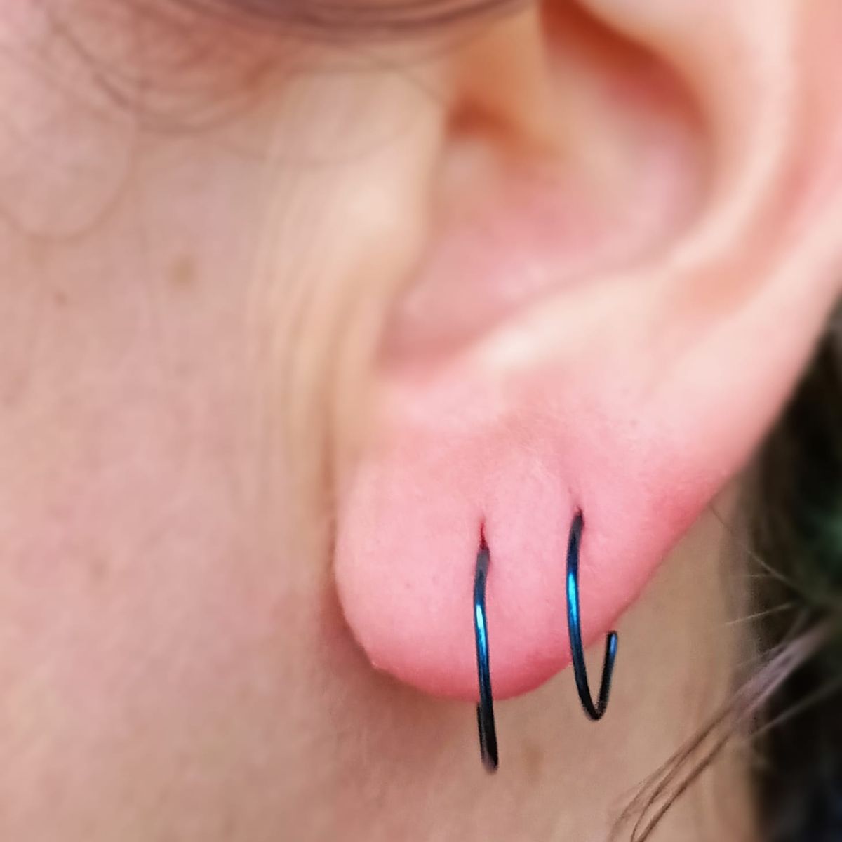 ELBAULDEJUMA - Set 4 Piercing dorado ideal septum Aros Nostril Daith Tragus Pack