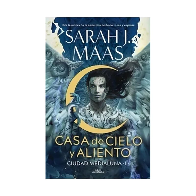 TOP10BOOKS - LIBRO CIUDAD MEDIALUNA 2-CASA DE CIELO Y ALIEN / MAAS, SARAH J. / EL GATO DE HO