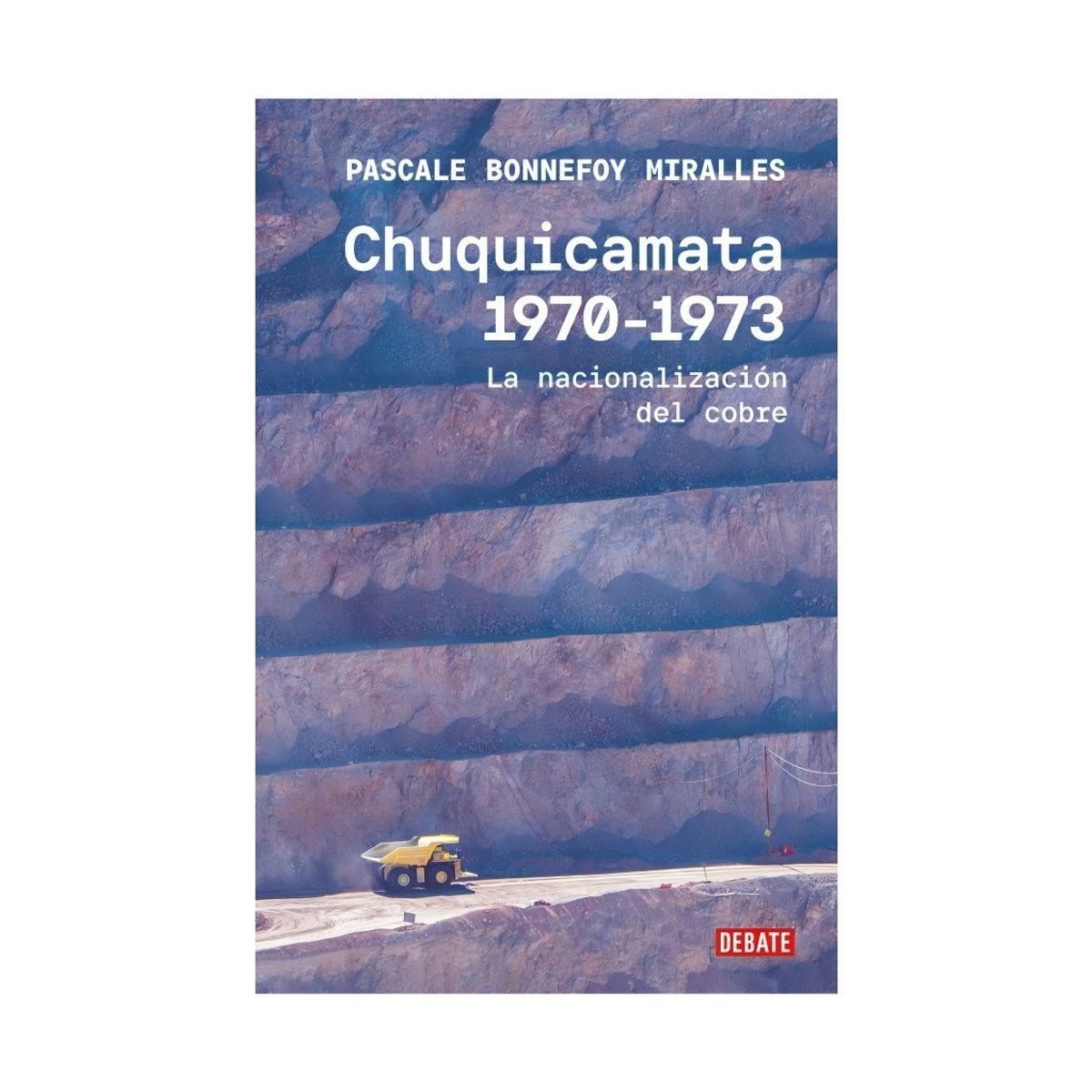 TOP10BOOKS - LIBRO Chuquicamata, canales oficiales - PASCALE BONNEFOY