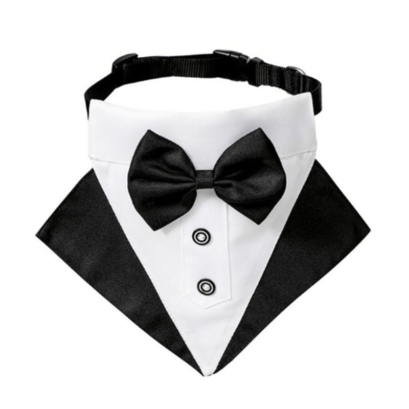 GENERICO - Humita para mascota M fiesta