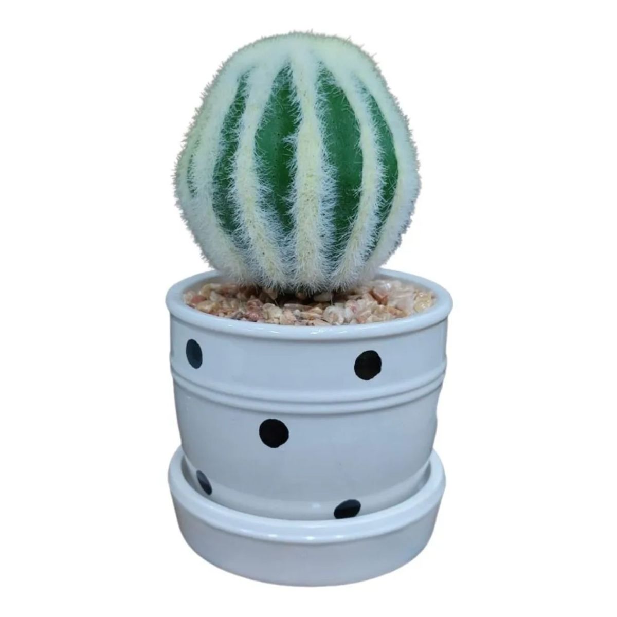 GENERICO - Adorno cactus artificial en macetero