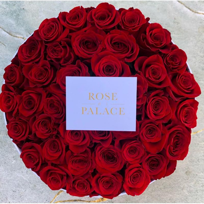 GENERICO - Caja De Rosas Rose Di Palace - 44 Rosas Naturales