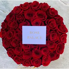 GENERICO - Caja De Rosas Rose Di Palace - 44 Rosas Naturales