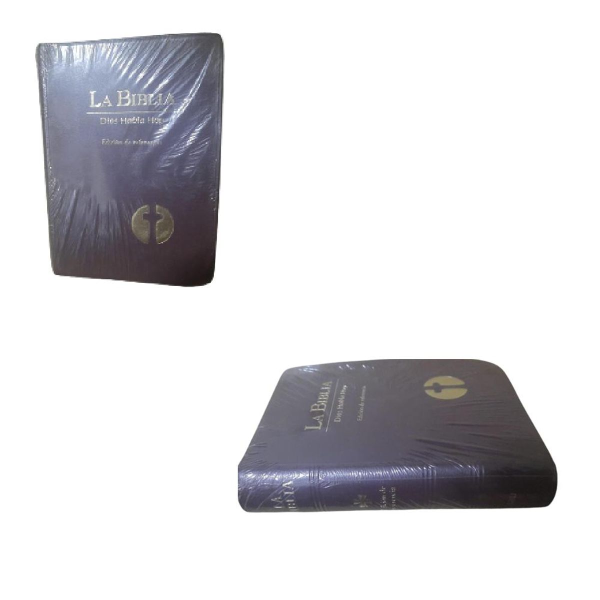ARTIDIX - La Biblia Dios Habla Hoy color burdeos PB-A7