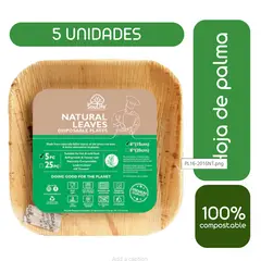 ECOSOULIFE - Pack 5 Platos Ecológicos Cuadrado Hoja de Palma 15x15 cms Compostables