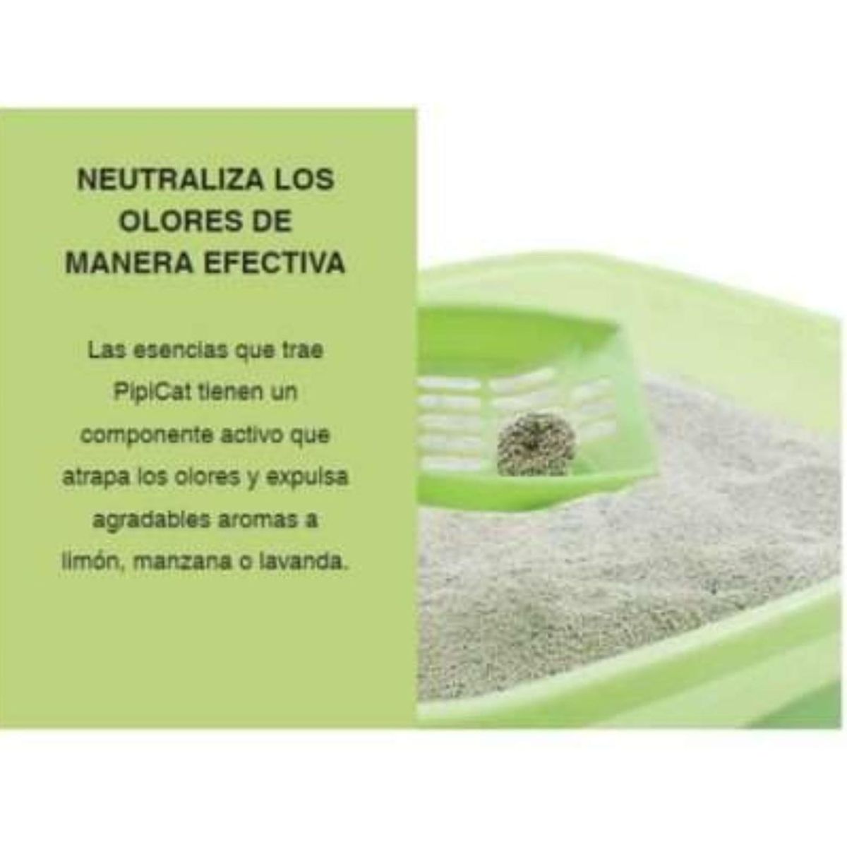 GENERICO - Arena Sanitaria Pipi Cat 15 kg - Agua