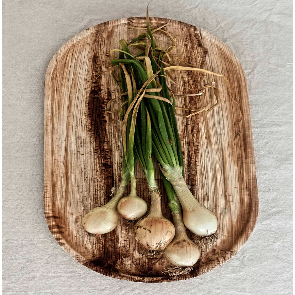 ECOSOULIFE - Set De 3 Bandejas 55x30cms Hoja De Palma 100%Biodegradable Compostable