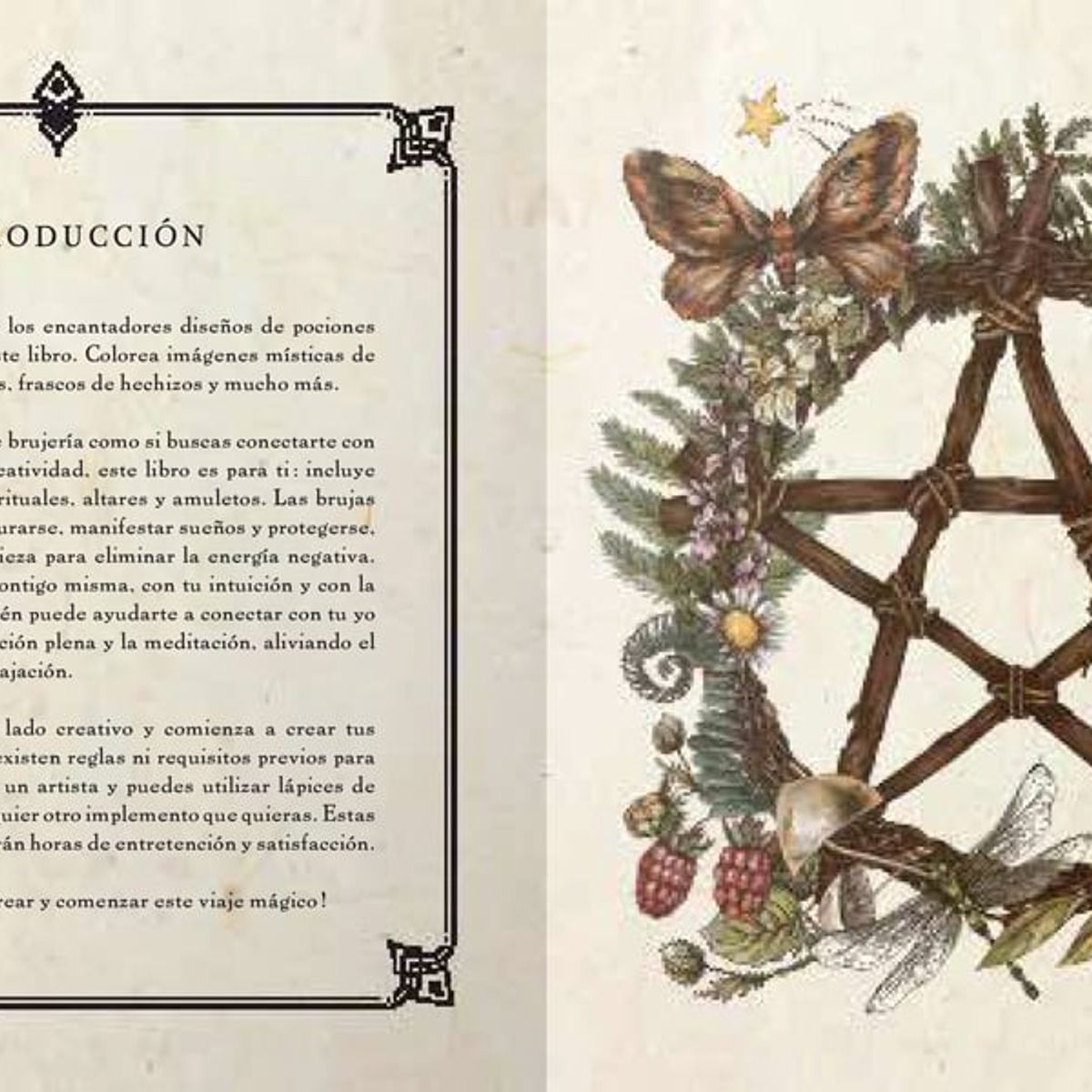 EDITORIAL CONTRAPUNTO - Brujería Para Colorear