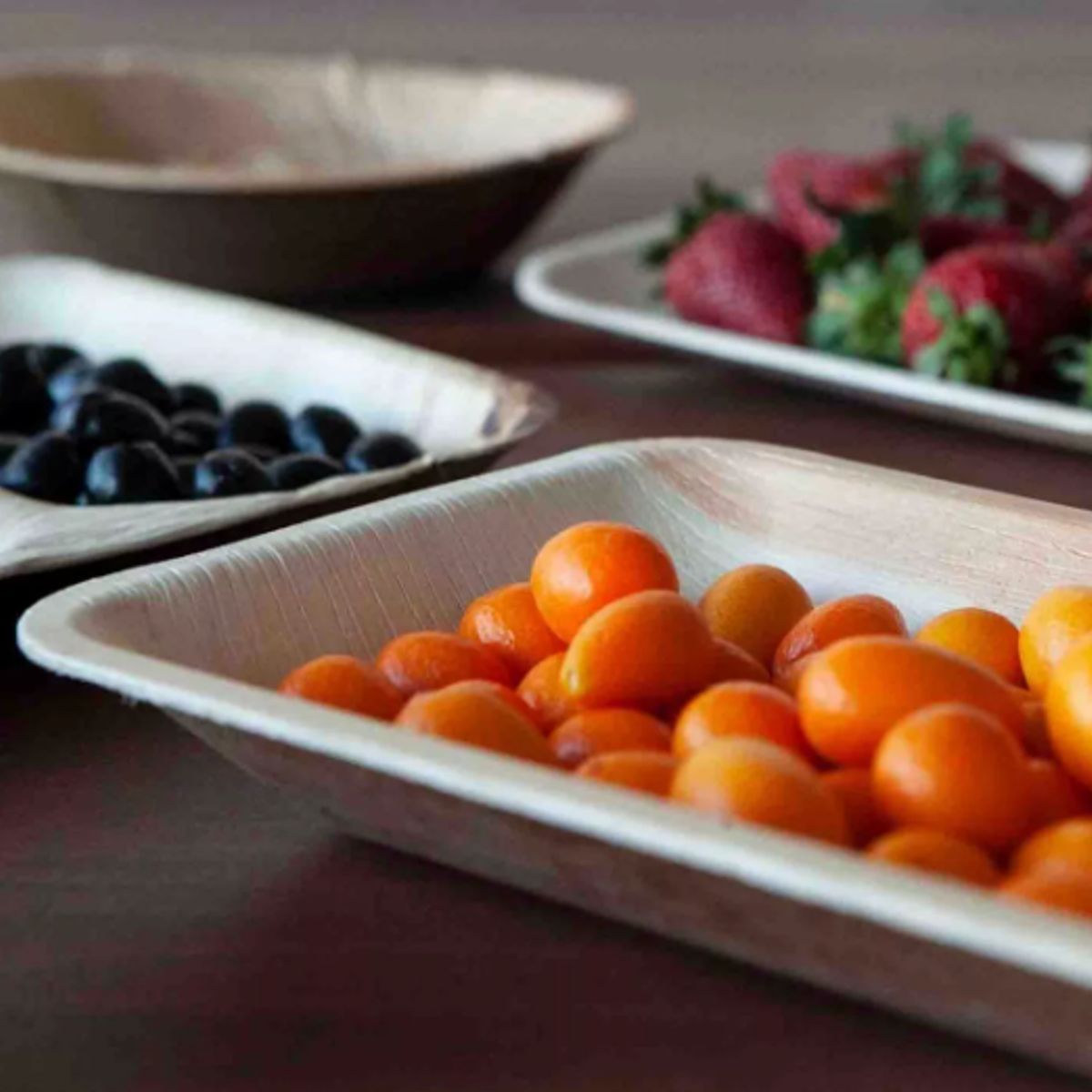 ECOSOULIFE - 5 Platos con división Rectangular Biodegradable Ecológico Hoja De Palma