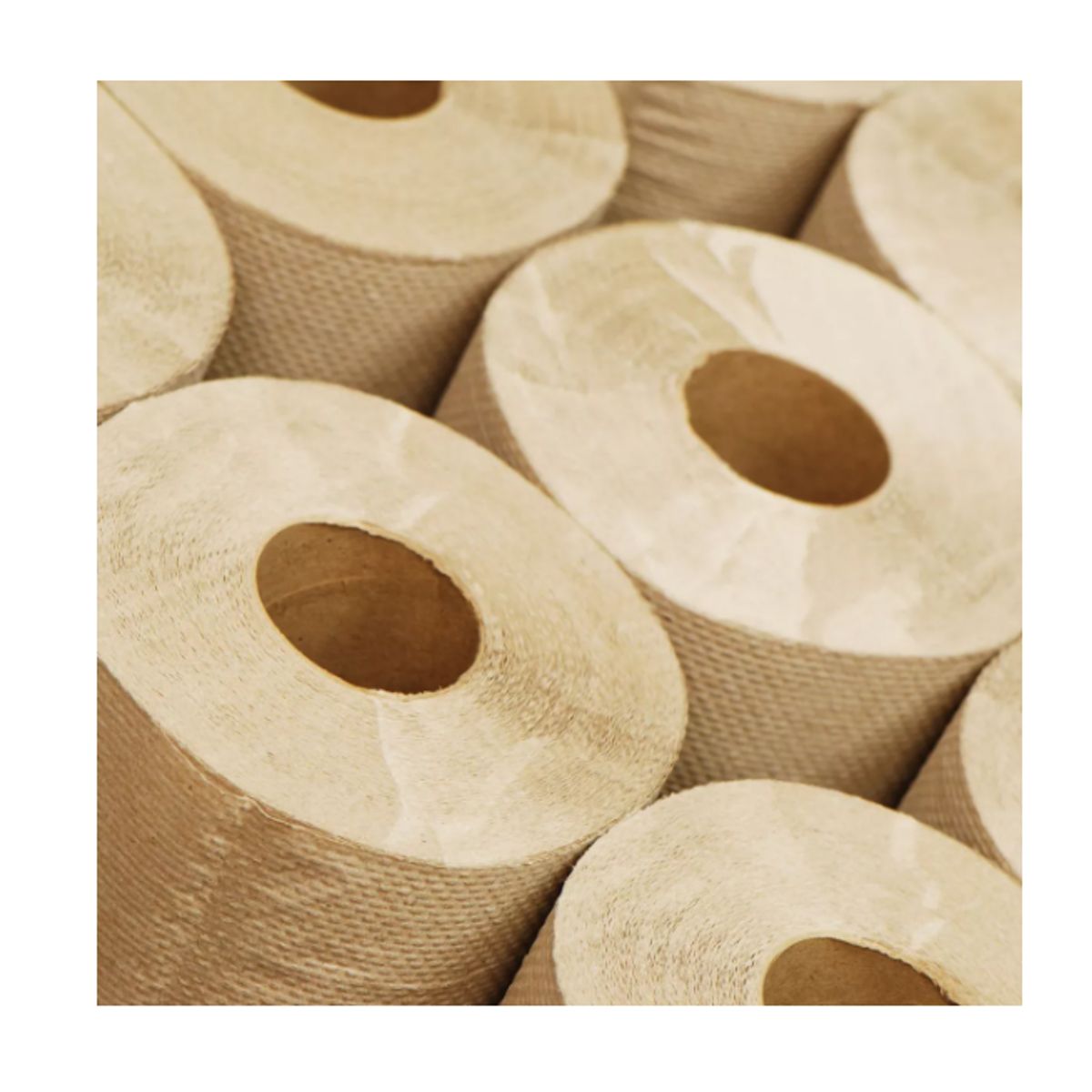 ECOSOULIFE - Toalla De Papel Elite Ecológica 2 Rollos x250m. 40734-40704 Toallanova
