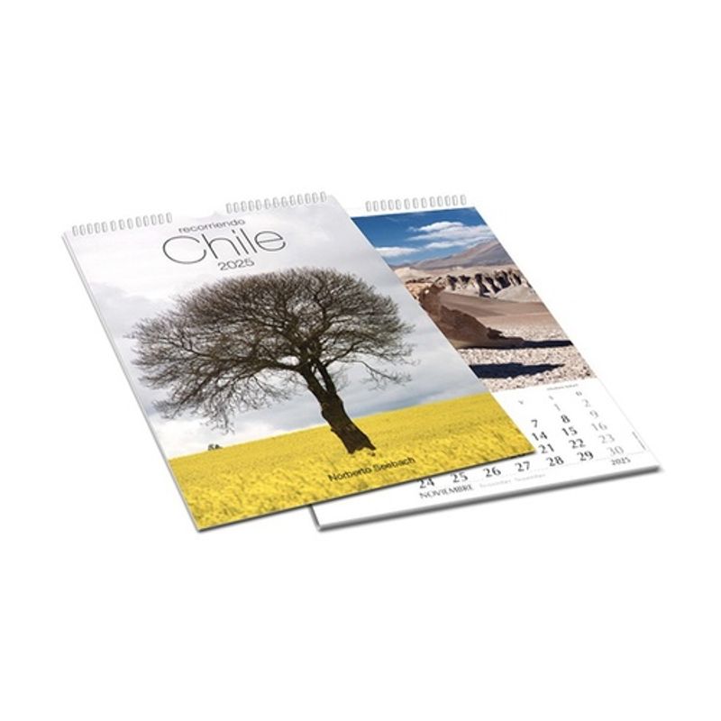 ANTARTICA LIBROS - Calendario 2025 Recorriendo Chile Mural